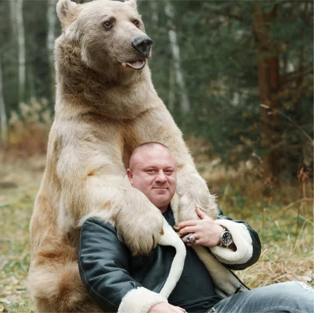 Уэйн Уильям Хоулетт